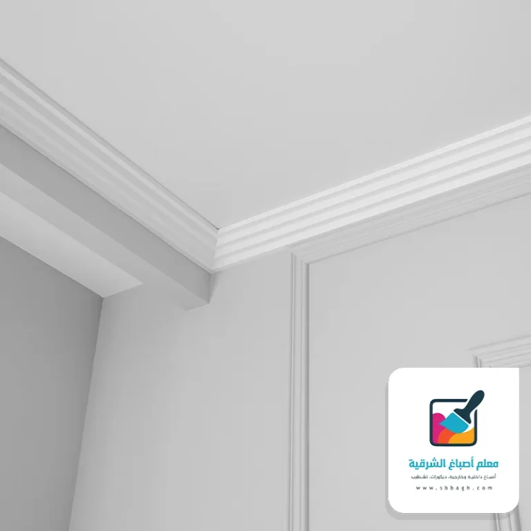 معلم صبغ الراكة